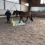 IMG-20190226-WA0008