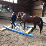 IMG-20190226-WA0016